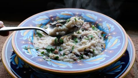 Premio Sweet Italian Sausage with Risotto and Radicchio